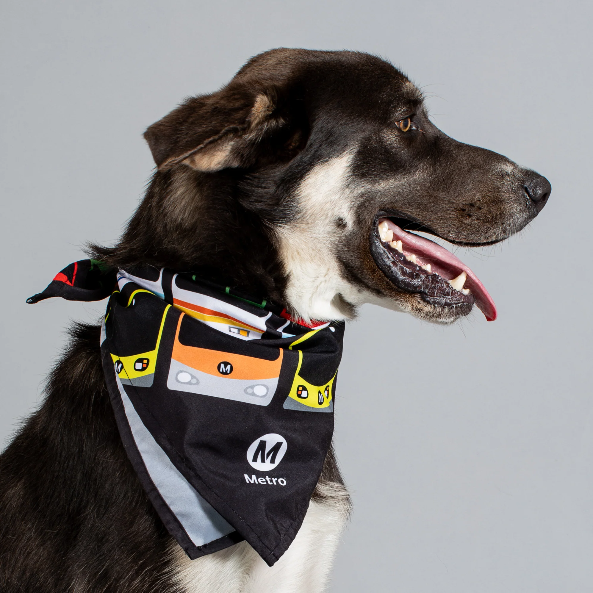 367-los-angeles-metro-past-and-present-pet-bandana-1.webp Los Angeles Metro Past and Present Pet Bandana