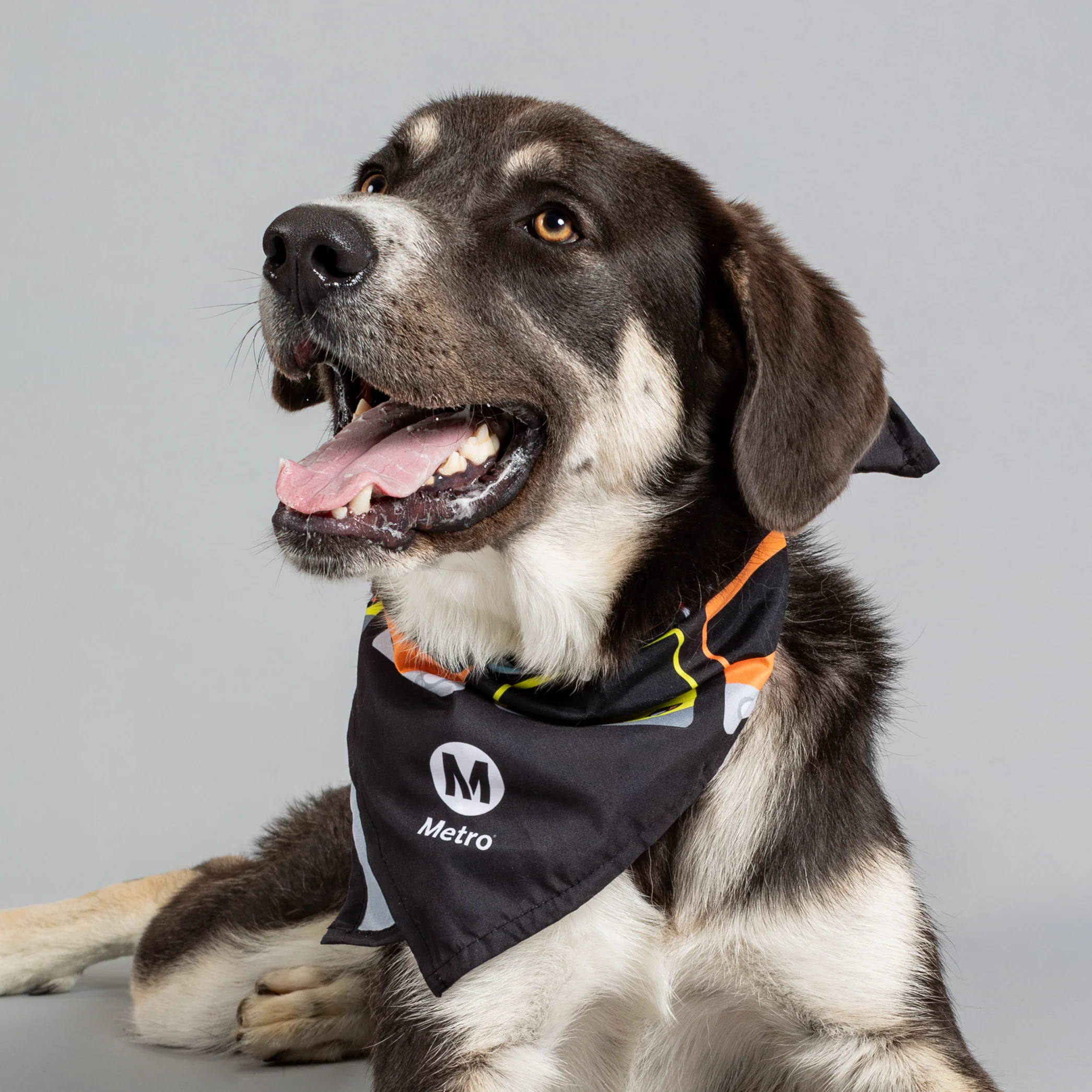 367-los-angeles-metro-past-and-present-pet-bandana-3.webp Los Angeles Metro Past and Present Pet Bandana
