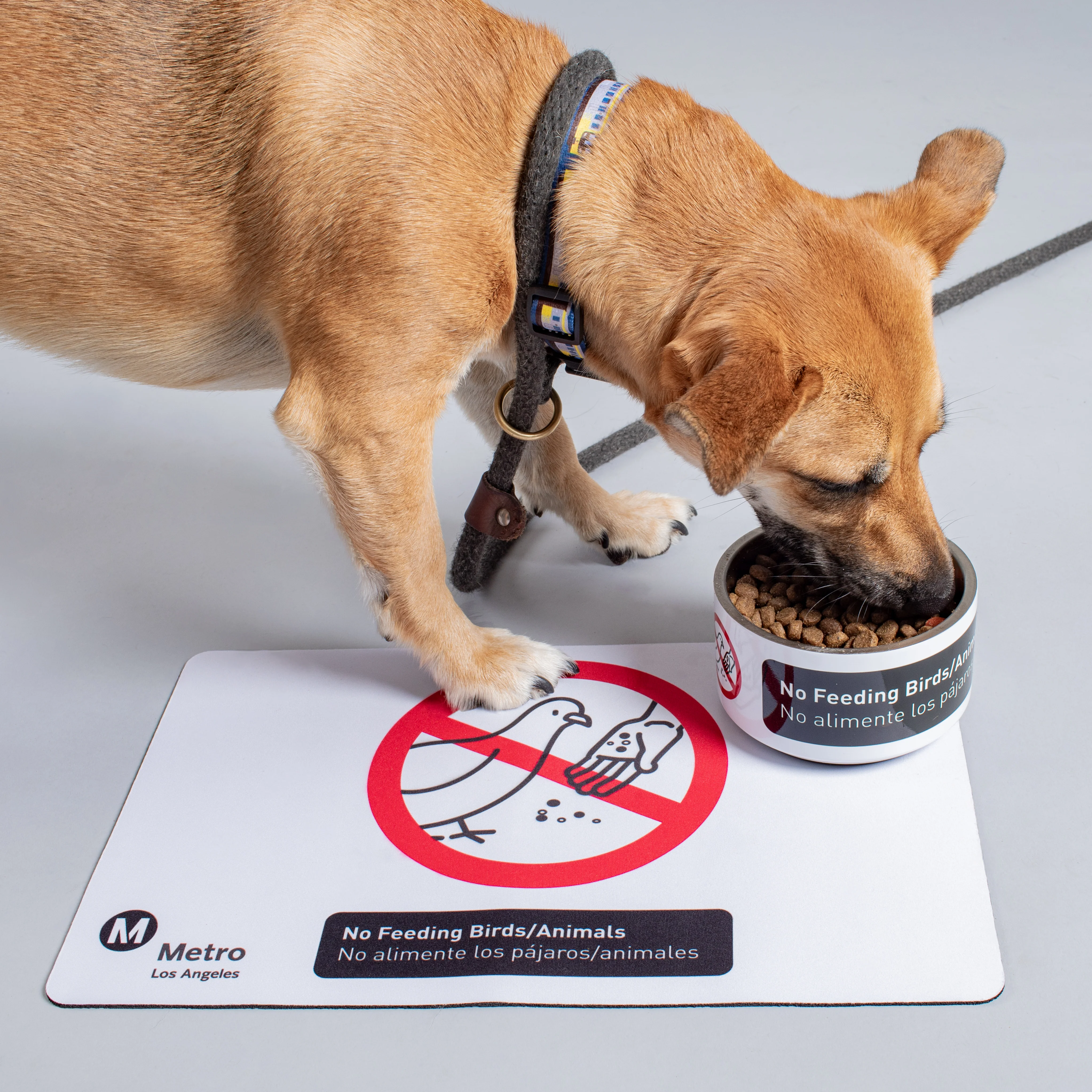 Los Angeles Metro Code of Conduct Pet Bowl